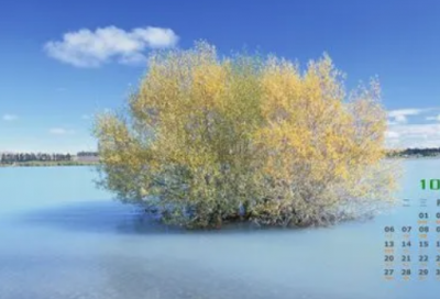 ​与奉献有关的名言警句