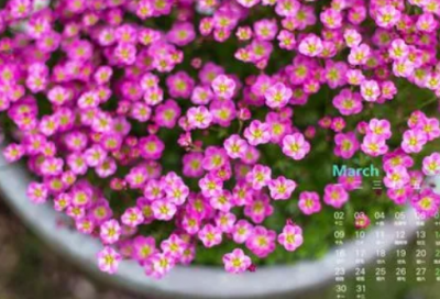 ​珍惜时间的名人名言