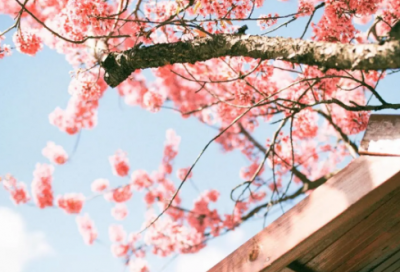 ​心胸宽广的励志名言