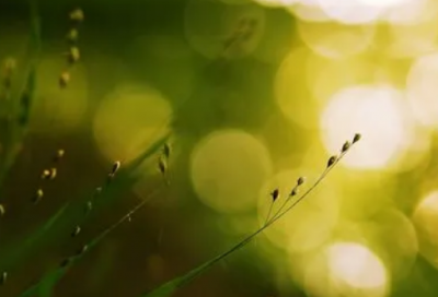 ​有关于珍惜时间的名言