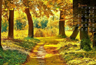 ​与诚实有关的名言