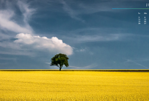 1708569525704140.png image.png