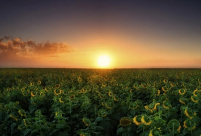 ​关于家庭的名言警句