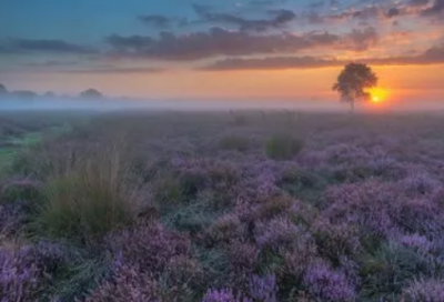 ​敬畏自然的名言大全