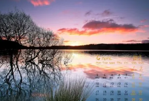 1708571688999292.png image.png