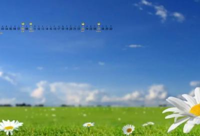 ​罗斯福名言