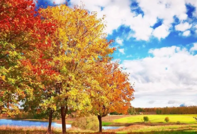 ​英文励志的名言