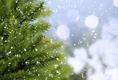 ​笛卡尔的名言【经典46句】