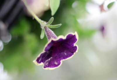 ​关于珍惜时间的名言或警句