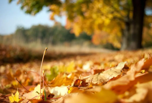 1708578677678240.png image.png