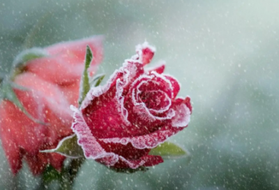 ​有关诚信的名言名句