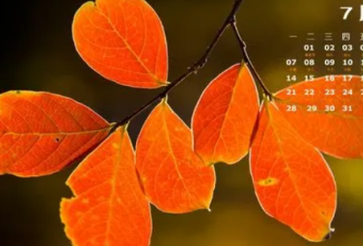 ​古人关于学习的名言