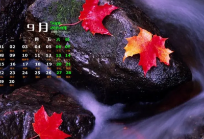 ​关于坚持的励志名言