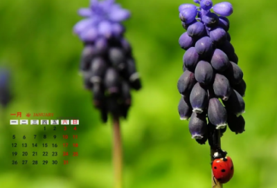 ​陀思妥耶夫斯基名言