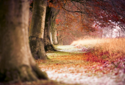 ​珍惜眼前人的名言