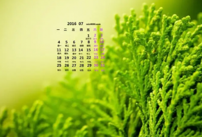 ​关于车的名言