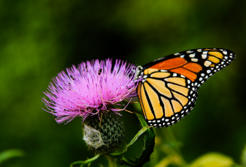 1708587967670905.png image.png