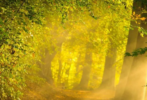 1708588467307054.png image.png