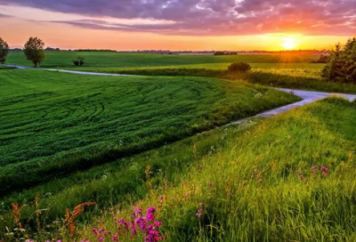 ​我是特种兵2经典台词