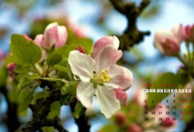 ​肖申克的救赎经典台词_经典台词