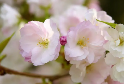 ​心情不好时发的朋友圈语录