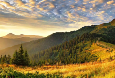 ​微博里那些句子