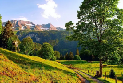 ​致傻傻的自己