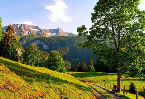 1708590632588946.png image.png