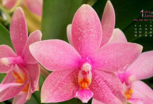 1708591799936642.png image.png