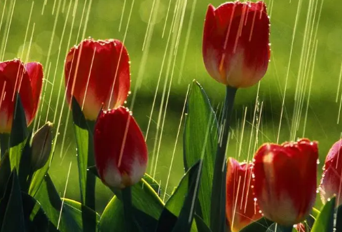 1708591966627246.png image.png