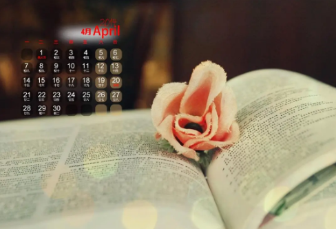 1708592299878925.png image.png