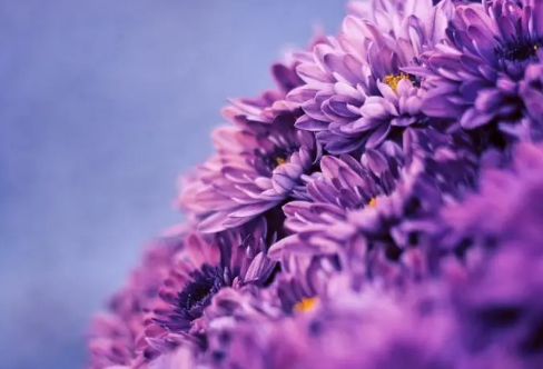 1708592632341527.png image.png