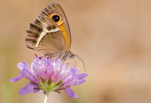 1708593464171229.png image.png