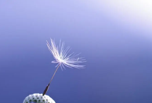 1708593798590637.png image.png