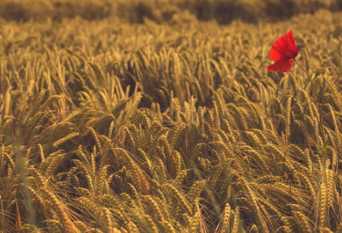 1708594797263847.png image.png