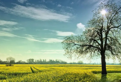 ​关于结婚家庭的句子，于丹语录