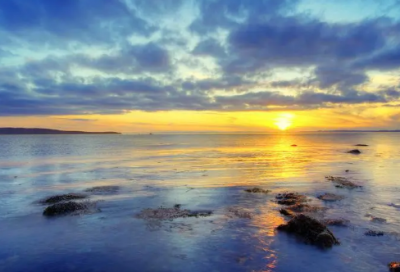 ​天天向上经典台词_经典台词