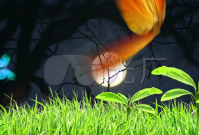 ​堂吉诃德经典语录