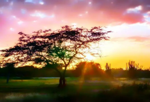 1708602129823885.png image.png