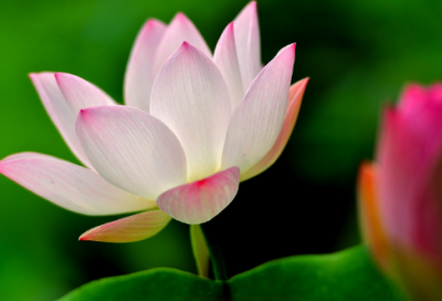 ​怎么安慰失恋的男生