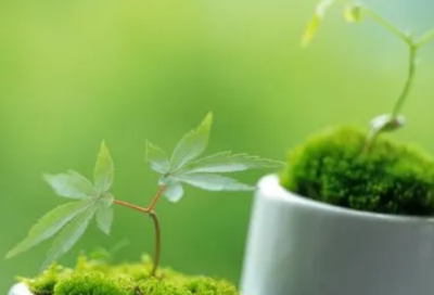 ​阳光励志正能量早安语录