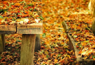 ​2020到2024情感语句