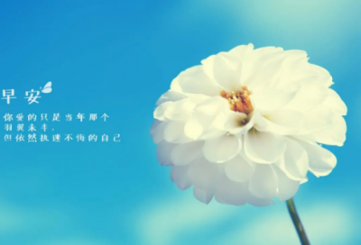 ​分享的名言