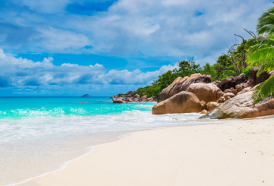 ​魔域游戏角色名字带符号（冷酷霸气魔域游戏角色名字）