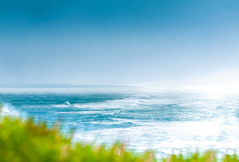 1709837896718566.png image.png