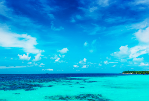 1709841212594802.png image.png