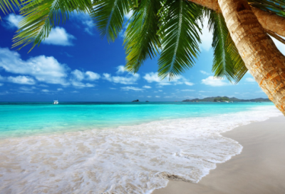 ​女生好听的游戏名字免费复制（好听稀少的女生好听的游戏名字）