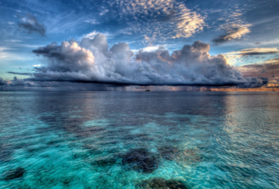 ​两字的游戏公会名字个简单干净（冷酷霸气两字的游戏公会名字个）