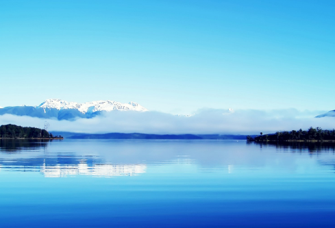 1709847344822394.png image.png