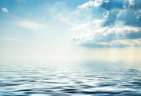 1709849499393876.png image.png